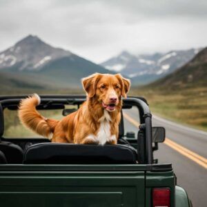 Retriever de Nueva Escocia en un automóvil descapotable con un paisaje montañoso de fondo.